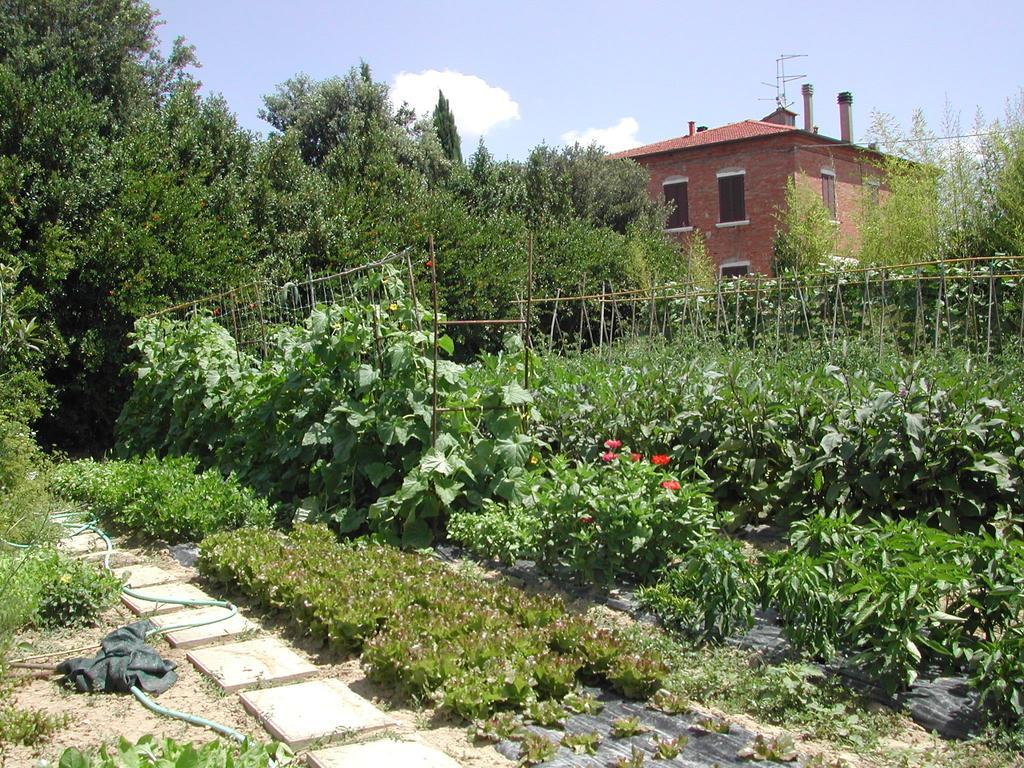 Villa La Lodola Foiano Della Chiana Ngoại thất bức ảnh